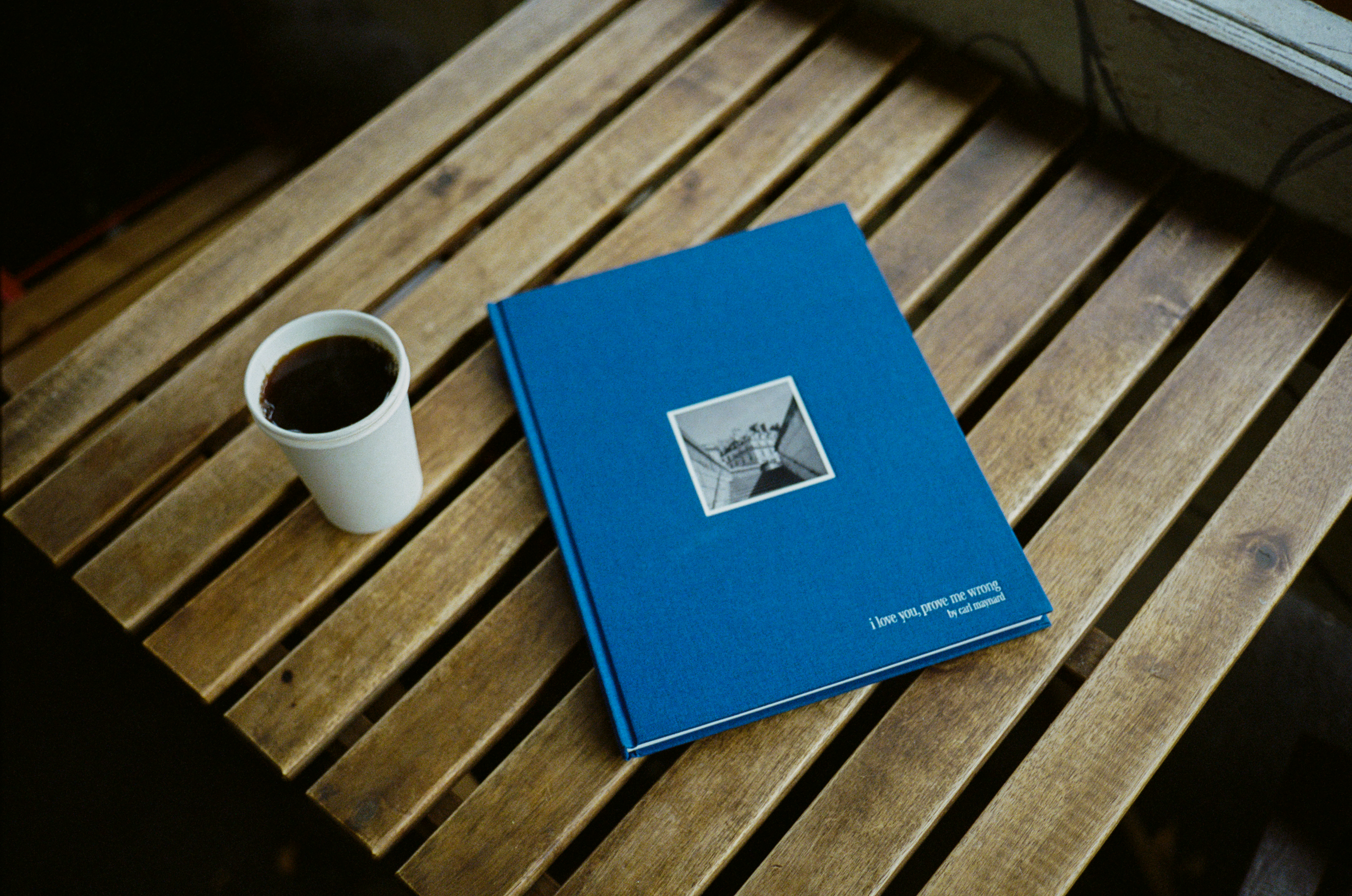 i love you, prove me wrong