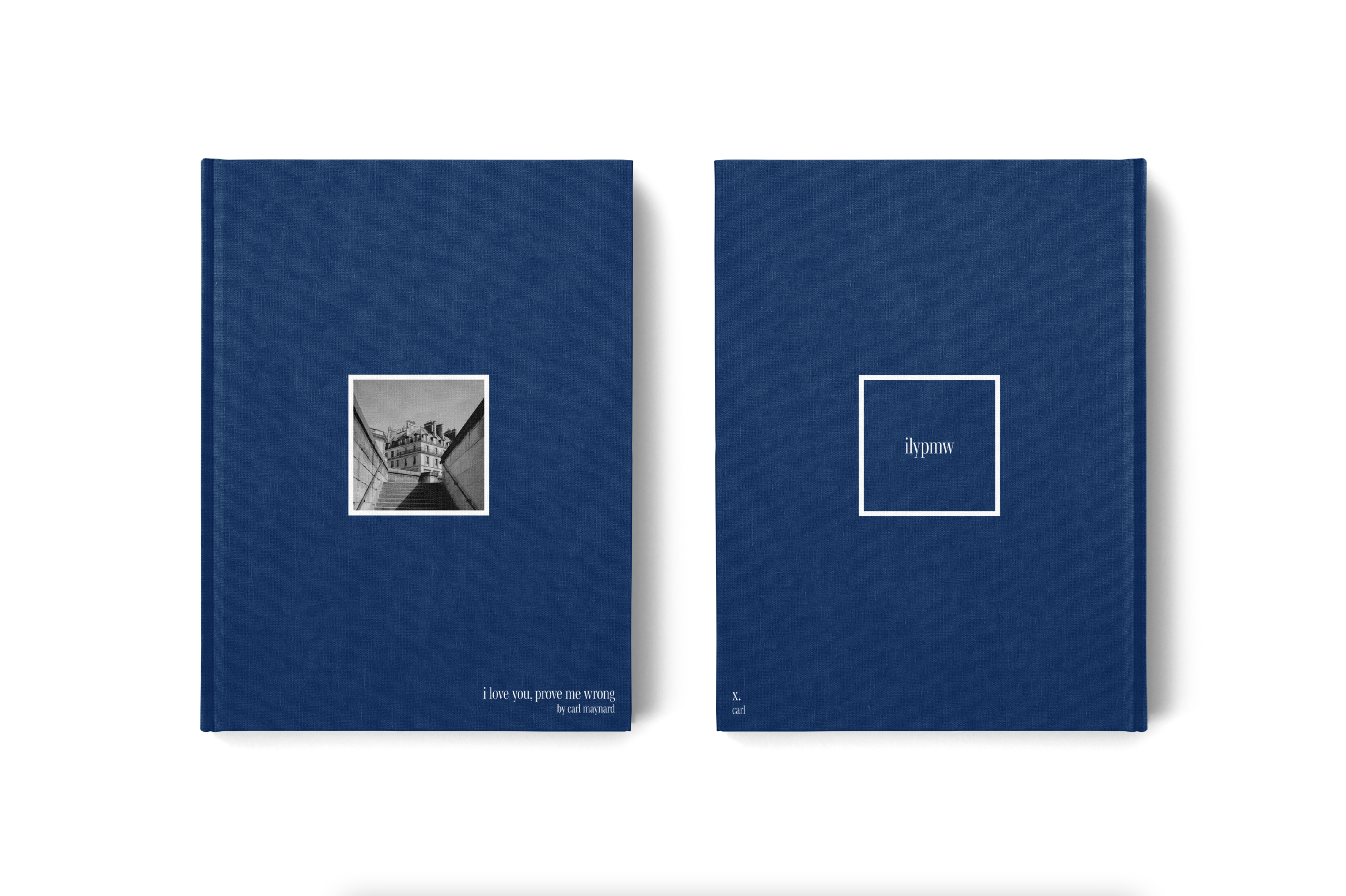 i love you, prove me wrong